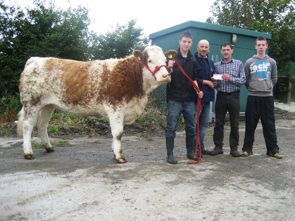 highest_priced_maiden_heifer_ballymote_011011