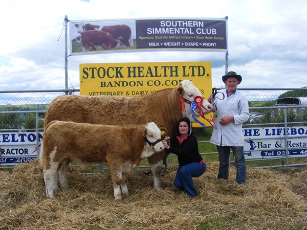Reserve Simmental Champion 'Raceview Winty Matilda' Peter O'Connell