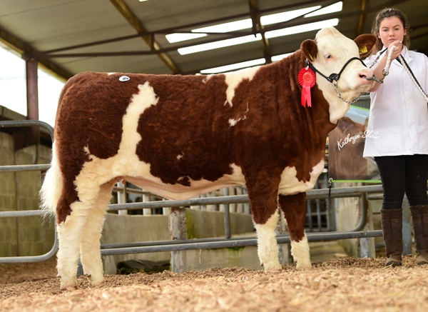 Shiloh-Farm Heidi €3250