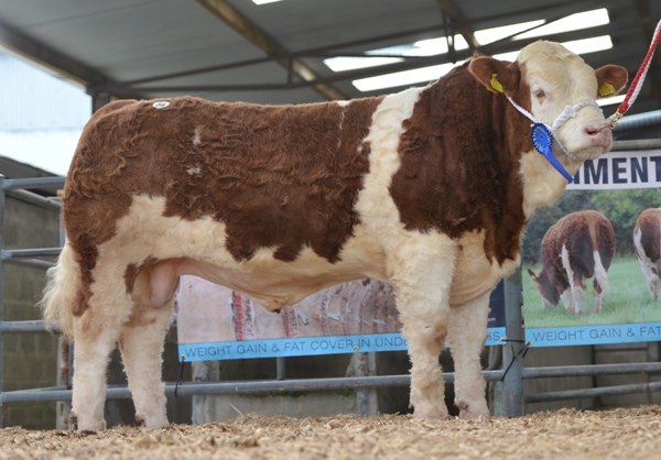 Lot 56 Rabawn Flame €7300