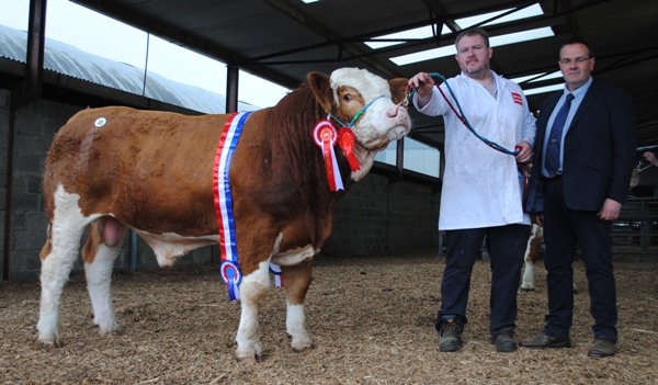 Champion 'Doire-Goile Hughie'