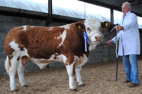 Reserve Champion 'Littlerock Hurricane'