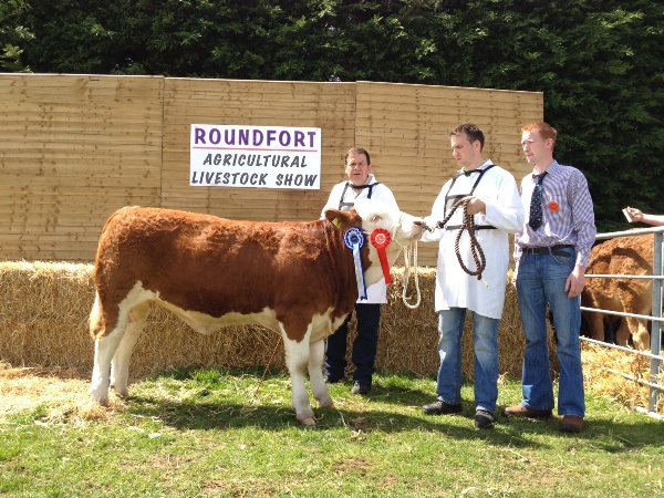 1st September 2011 & Reserve Champion 'Cloondroon Charlize'