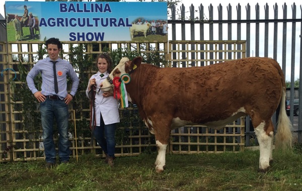 Ballina Reserve Champion for The Oliver Family
