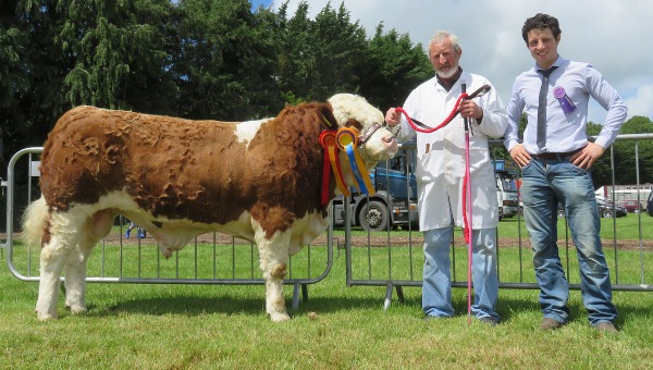Clonmel Show Reserve Champion 'Towerhill Freaky Friday'