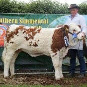 Barryroe 2017 2nd Southern Simmental Club Weanling Heifer Calf Champion 'Raceview Her Royal Diamond'