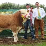 Barryroe 2017 3rd Southern Simmental Club Weanling Bull Calf Champion 'Carbery Hamilton'