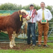 Barryroe 2017 3rd Southern Simmental Club Yearling Bull Calf Champion 'Carbery Hero'