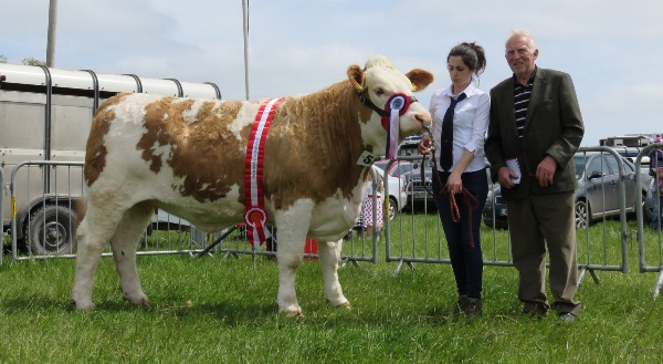 Midleton Show Champion 'Clonagh Delightly Fabulous'