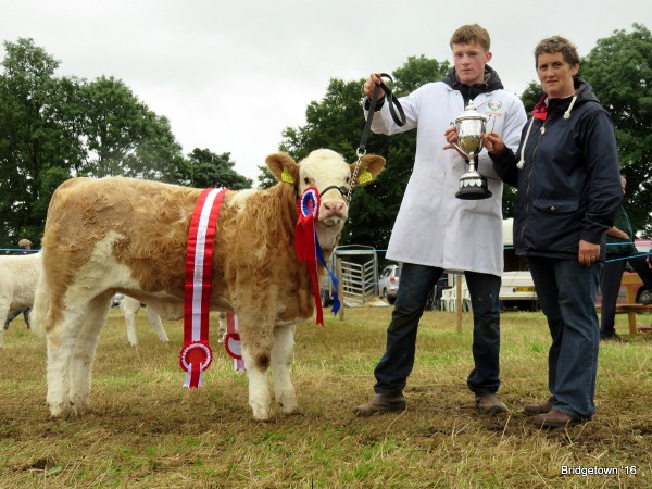 Sth East Clare Show Champ Coose Heather