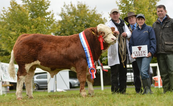 National Senior Bull Calf Champion 'Auroch Deuter P'
