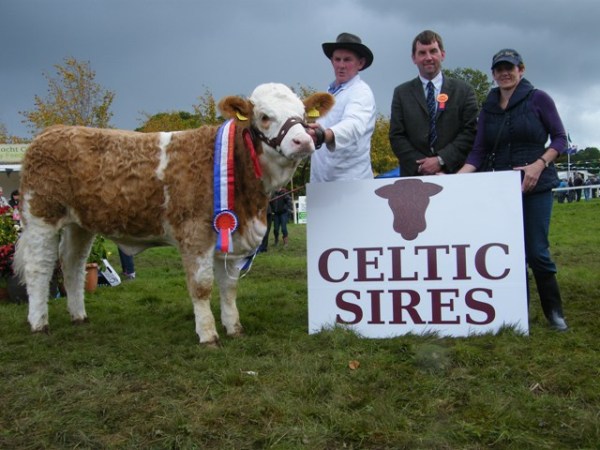 Celtic Sires National Heifer Calf Champion 'Raceview Candice Terona'