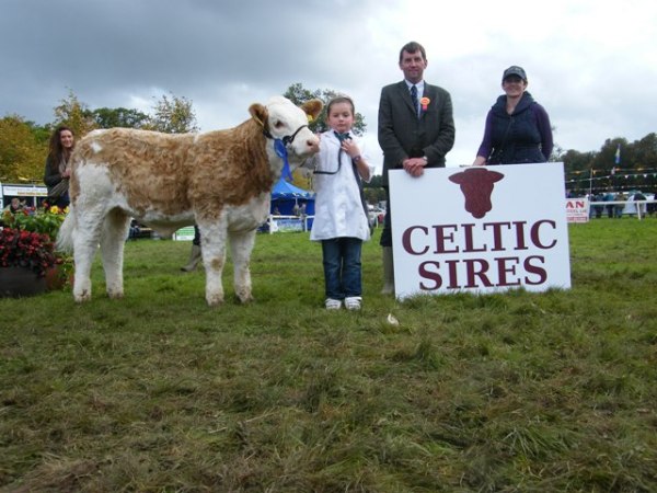 Celtic Sires National Heifer Calf Reserve Champion 'Shiloh-Farm Classy Lady'