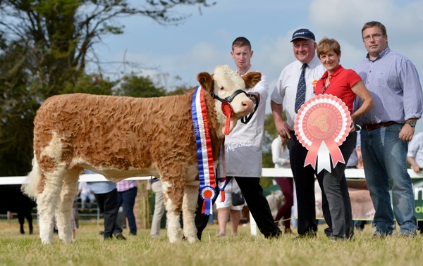 Celtic Sires Senior Heifer Calf 'Clonguish Elegant'