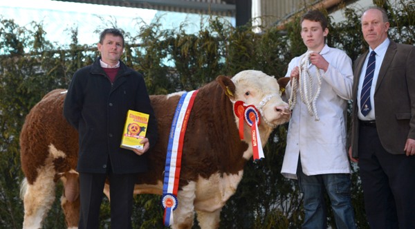 Tullamore Show & Sale Male Champion 2014