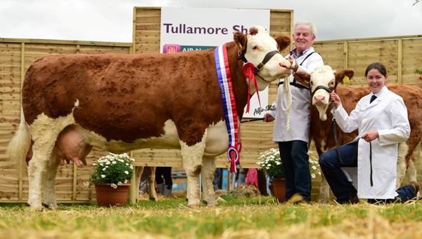 National Senior Cow Champion 'Seepa Aster'