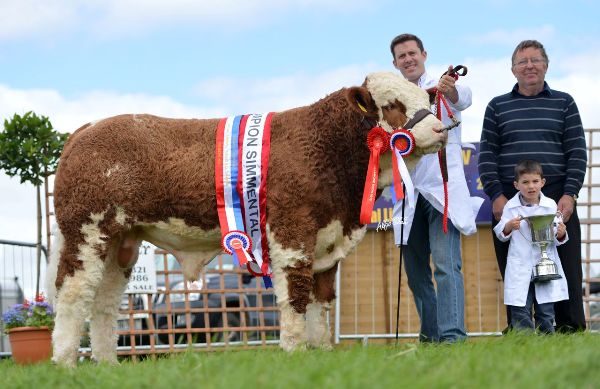 Nat Yearling Bull Champ Male Champ_Res Overall Champ Dermotstown Dell Boy