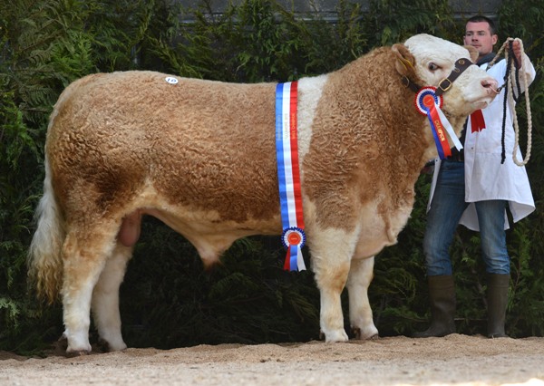 Champion 'Littlerock Cracker' €3500