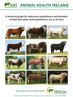 Animal Health Ireland AI Leaflet - Irish Simmental Cattle Society
