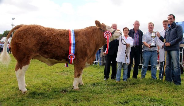 The VK Agri Recycling National Simmental X Maiden Heifer Champion at Bonniconlon Show pictured with Harold Stubbs Judge, Aine Nerney, Vincent Kearney Sponsor, Gerry Lenehan Chairman Western Simmental Club, Shane McGreal & Kieran McGee. This Heifer is owned by Barry Gallagher & Kieran McGee.