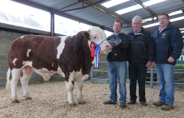 Ros May Res Champ Cruithill Frances E2400