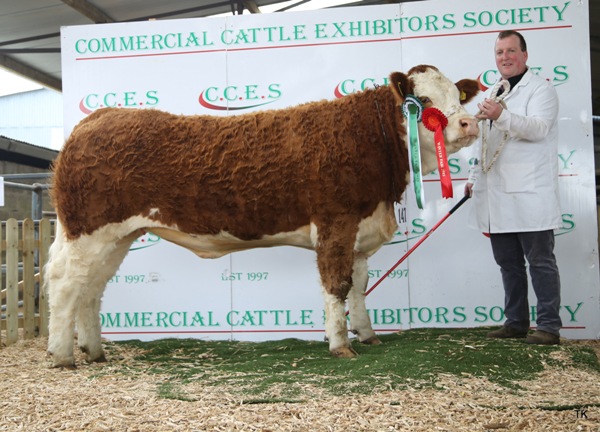 Roscommon CCE'15 Res Champ
