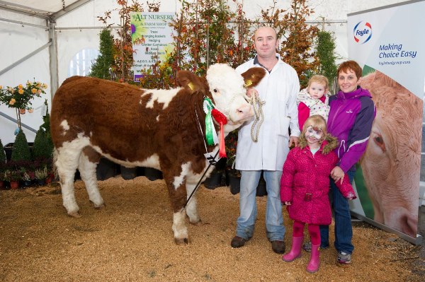 Declan Oates exhibiting the Reserve Champion at the Commercial Cattle Exhibitors Winter Fair at Stranorlar