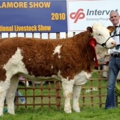 corbally_a1_katie_yearling_heifer