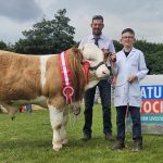 Southern Simmental Club Calf Championships Results & Photos from Ballyroe Show 13th July 2024