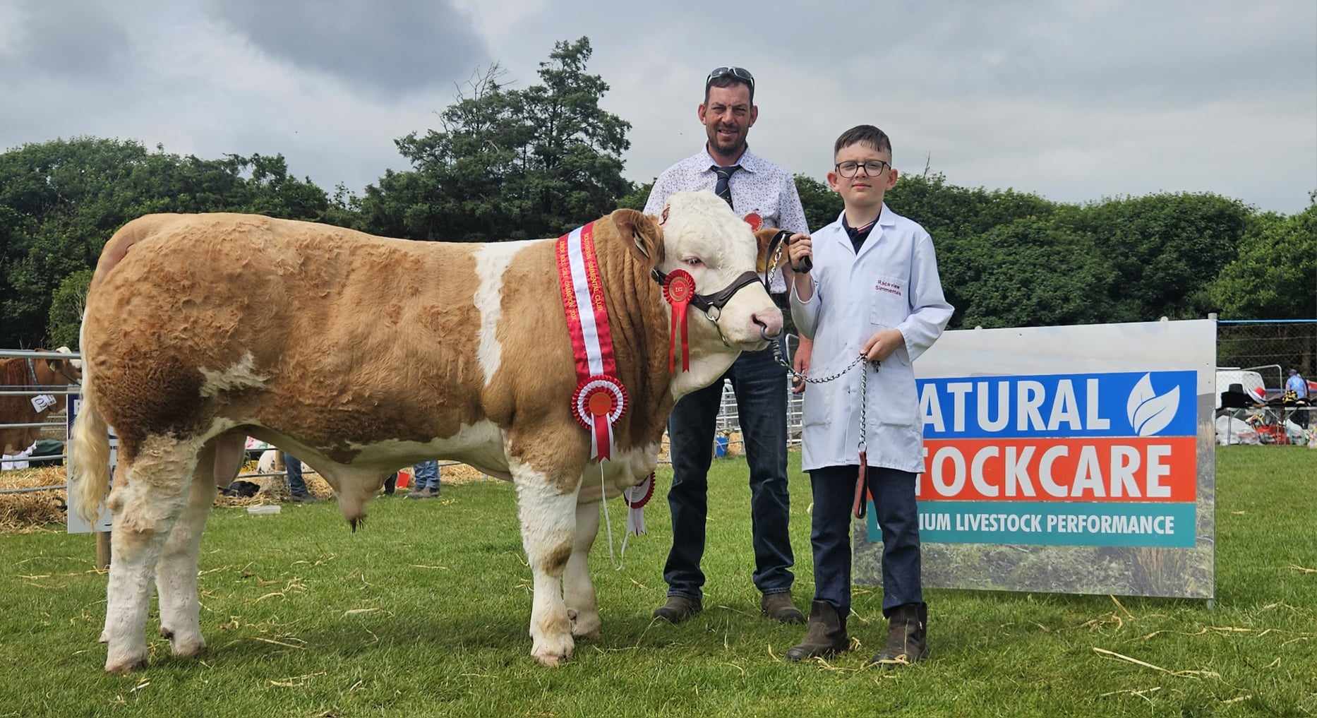 Read more about the article Southern Simmental Club Calf Championships Results & Photos from Ballyroe Show 13th July 2024