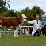 Date for your Diary! National Simmental Calf Finals Sept 14th 2024 at Strokestown Show