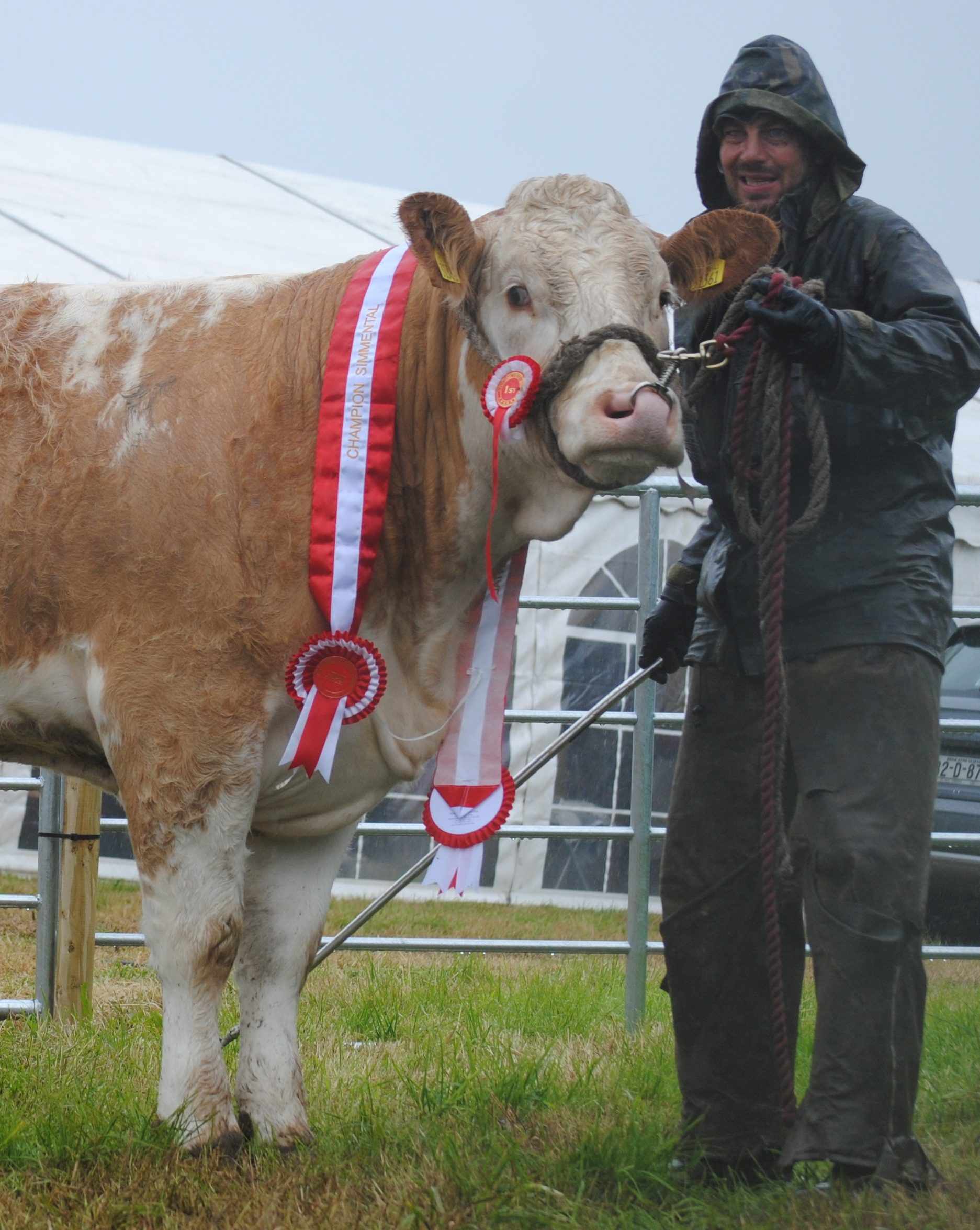 Read more about the article Athlone Show 2019