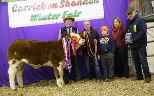 Carrick on Shannon National Simmental X Heifer (351 to 450 kgs) & Overall Champion exhibited by David Gibbons