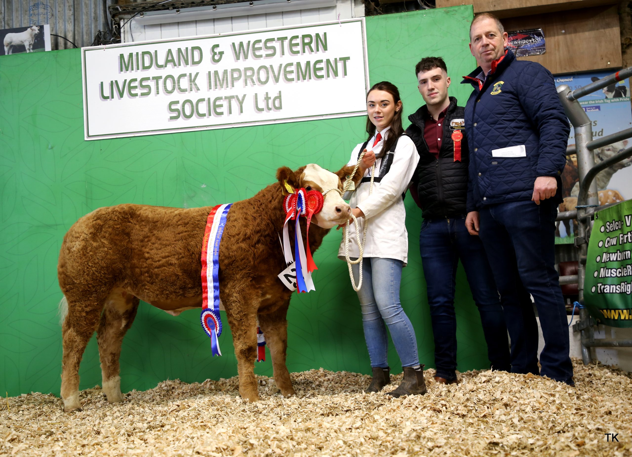 Champion Sim X Calf Champion and Overall Simmental Champin