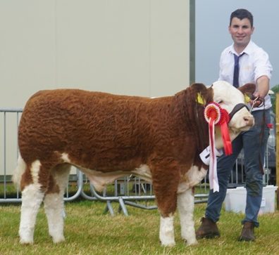 Read more about the article Cork Show 2019