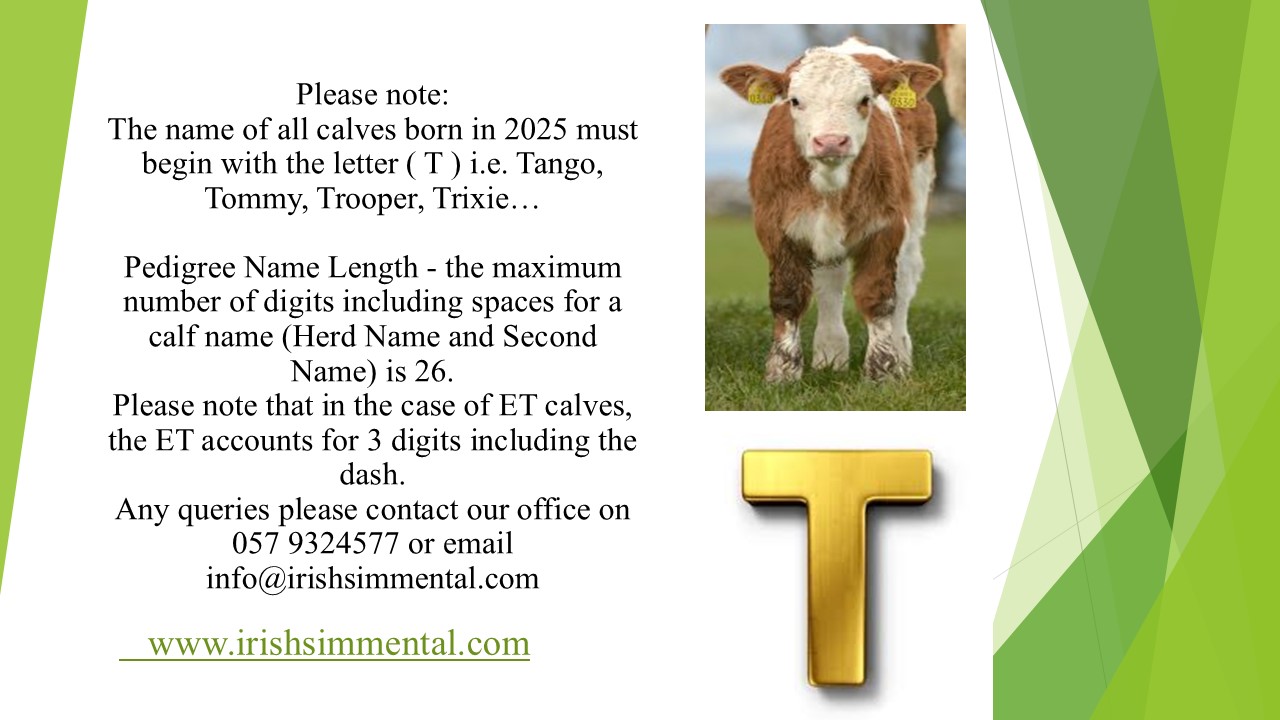 Letter For Calves born in 2025 is ‘T’