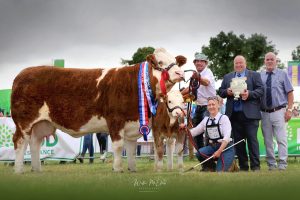 Supreme Champion Clonagh Hazel Eyes Nat Senior Cow Senior Female Overall Female